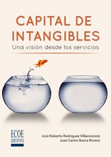 Capital de intangibles.  Jos Roberto Rodrguez Villavicencio