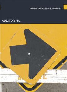 Auditor PRL.  Sergio Snchez Azor