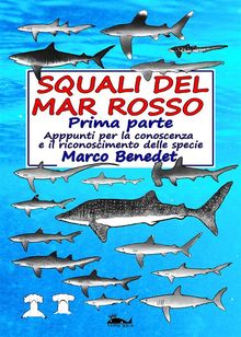 Squali del Mar Rosso 1a Parte.  Marco Benedet