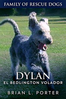 Dylan - El Bedlington Volador.  Santiago Machain