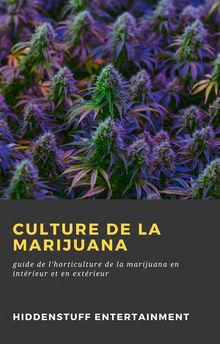 Culture De La Marijuana.  N'Doua Diby Gaston