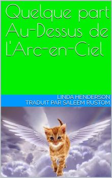 Quelque Part Au-Dessus De L'arc-En-Ciel.  Saleem Rustom