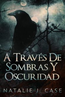 A Travs De Sombras Y Oscuridad.  Alejandra Palopoli