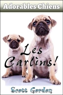 Adorables Chiens : Les Carlins.  Scott Gordon