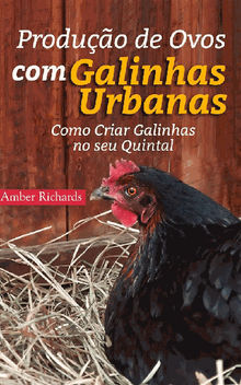 Produo De Ovos Com Galinhas Urbanas.  Como Criar Galinhas No Seu Quintal.  Silvia Frantz