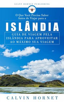 O Que Voc Precisa Saber Antes De Viajar Para A Islndia.  Vera Nogueira