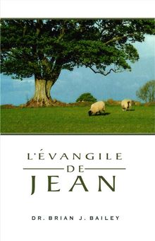 L'Evangile de Jean.  Dr. Brian J. Bailey