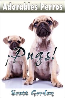 Adorables Perros: Los Pugs.  Scott Gordon