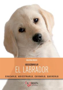 El labrador.  Valeria Rossi