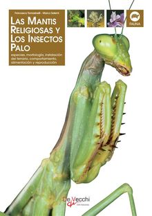 La mantis religiosa y los insectos palo.  Francesco Tomasinelli