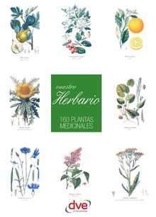 Vuestro herbario. 160 plantas medicinales.  Varios Autores