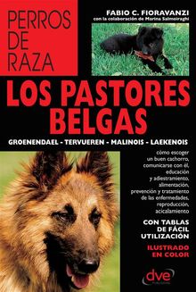 Los pastores belgas: Groenendael - Tervueren - Malinois - Laekenois.  Fabio C. Fioravanzi