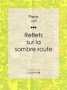 Reflets sur la sombre route.  Pierre Loti