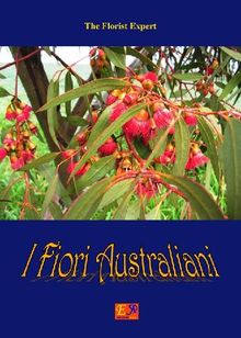 I Fiori Australiani.  Daphne Chlo