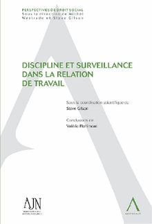 Discipline et surveillance dans la relation de travail.  Steve Gilson (sous la coordination de)