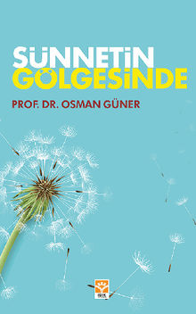 Snnet'in Glgesinde.  Osman Gner