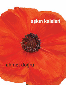 A?k?n Kaleleri.  Ahmet Do?ru