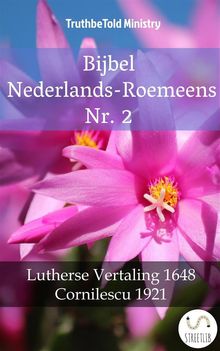 Bijbel Nederlands-Roemeens Nr. 2.  Adolph Visscher