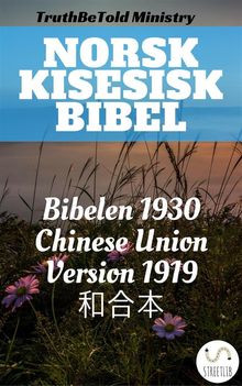 Norsk Kinesisk Bibel.  Det Norske Bibelselskap