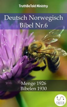 Deutsch Norwegisch Bibel Nr.6.  Hermann Menge