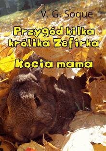 Przygd kilka krlika Zefirka. Kocia mama.  V. G. Soque