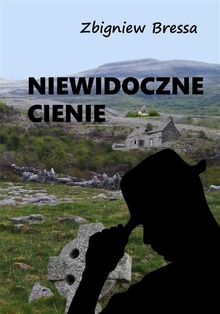 Niewidoczne cienie.  Zbigniew Bressa