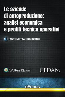 Le aziende di autoproduzione: analisi economica e profili tecnico-operativi.  Antonietta Cosentino