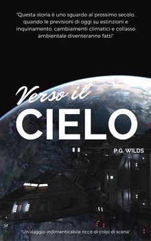 Verso il cielo.  Pierluigi Selvatici