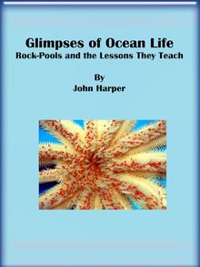 Glimpses of Ocean Life: Rock-Pools and the Lessons They Teach.  John Harper