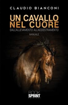 Un cavallo nel cuore.  Claudio Bianconi