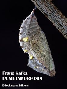 La metamorfosis.  Franz Kafka