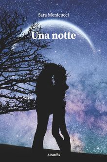 Una notte.  Sara Menicucci