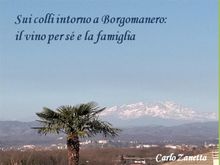 Sui colli intorno a Borgomanero.  Carlo Zanetta