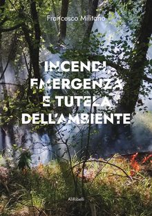 Incendi, emergenza e tutela dellambiente.  Francesco Militano