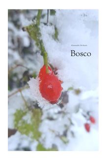 Bosco.  Alessandro Molinari