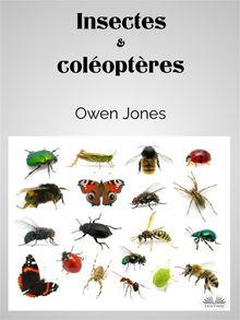 Insectes Et Coloptres.  JACQUES LHOMME