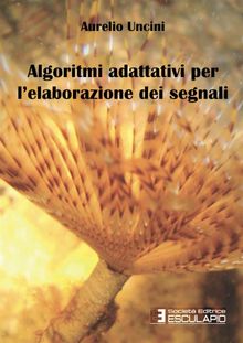 Algoritmi adattivi per l'elaborazione dei segnali.  Aurelio Uncini