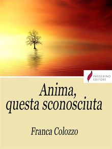 Anima, questa sconosciuta.  Franca Colozzo