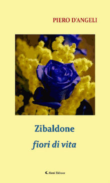 Zibaldone fiori di vita.  Piero DAngeli