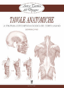 Arte e Tecnica del Disegno - 15 - Tavole anatomiche.  Giovanni Civardi