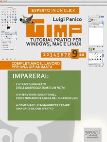 GIMP: tutorial pratici per Windows, Mac e Linux. Livello 9.  Luigi Panico