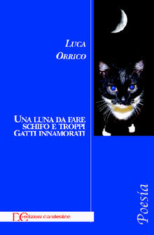 Una luna da fare schifo e troppi gatti innamorati.  Luca Orrico