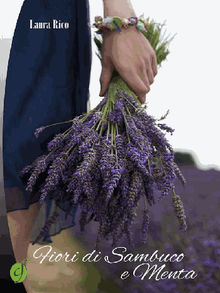 Fiori di sambuco e menta.  Laura Rico