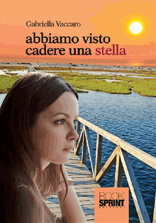 Abbiamo visto cadere una stella.  Gabriella Vaccaro