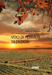 Voci di pensieri silenziosi.  Liliana Nigro