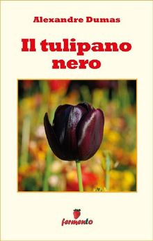 Il tulipano nero.  Margherita Vierin