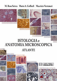 Atlante di Istologia e Anatomia Microscopica.  Maurizio Vertemati