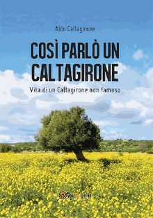 Cos parl un Caltagirone.  Aldo Caltagirone