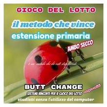 Gioco del lotto: il Metodo Che Vince: Estensione Primaria [Mat Marlin].  butt change by mat marlin