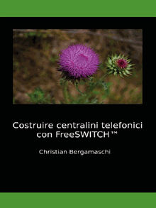 Costruire centralini telefonici con FreeSWITCH.  Christian Bergamaschi